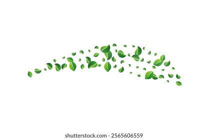 Lime Leaves Motion Vector White Background. Swirl Leaf Border. Green Greens Fly Template. Foliage Blur Brochure.