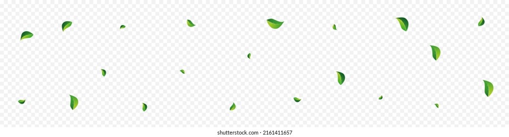 Lime Leaves Nature Vector Panoramic Transparent Background. Fly Foliage Wallpaper. Forest Leaf Falling Design. Greens Transparent Concept.