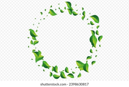 Lime Leaves Nature Vector Transparent Background. Spring Greens Border. Forest Leaf Flying Template. Foliage Fresh Concept.