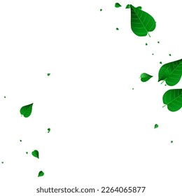 Lime Leaves Nature Vector White Background Backdrop. Herbal Foliage Design. Forest Leaf Tree Pattern. Greens Falling Illustration.
