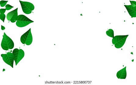 Lime Leaves Organic Vector White Background Pattern. Fly Leaf Concept. Grassy Foliage Motion Banner. Greens Flying Poster.