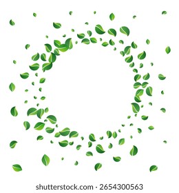 Lime Leaves Organic Vector White Background. Swirl Foliage Wallpaper. Swamp Leaf Nature Illustration. Greens Fresh Design.