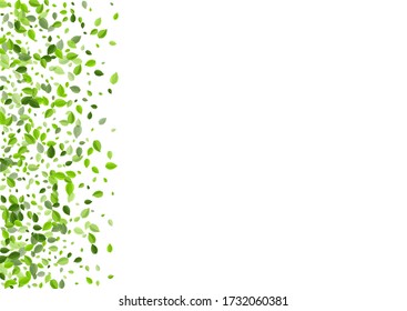 Lime Leaves Realistic Vector Illustration. Falling Greens Backdrop. Olive Leaf Fresh Pattern. Foliage Fly Plant.