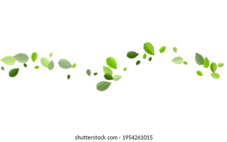 Lime Leaves Spring Vector Plant. Flying Greens Concept. Forest Foliage Fly Branch. Leaf Herbal Pattern.