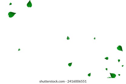 Lime Leaves Spring Vector White Background Template. Fresh Foliage Design. Forest Leaf Tree Branch. Greens Forest Illustration.