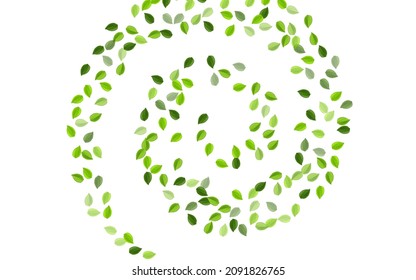 Lime Leaves Swirl Vector Wallpaper. Blur Leaf Plant. Grassy Foliage Tea Brochure. Greens Motion Branch.