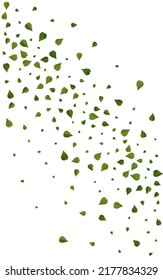 Lime Leaves Swirl Vector White Background Branch. Falling Leaf Backdrop. Olive Foliage Tea Pattern. Greens Tree Template.