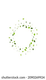 Lime Leaves Tea Vector Concept. Spring Leaf Template. Green Foliage Fly Border. Greens Ecology Wallpaper.