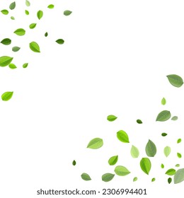 Lime Deja Ilustración Del Vector De Té. El Fondo De La Caída De Los Verdes. Fondo de desenfoque de hoja verde. Plantilla de ecología de follaje.