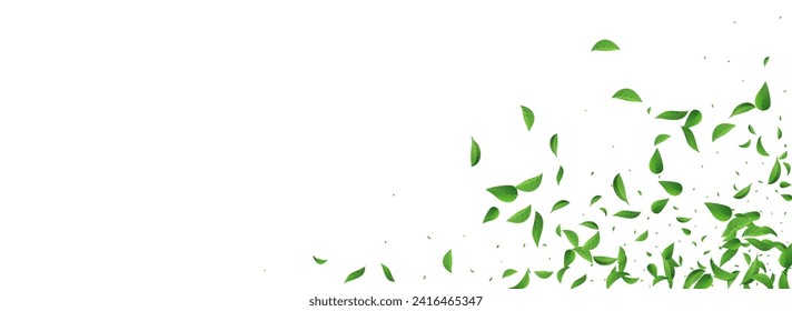 Lime Leaves Tea Vector Panoramic White Background Poster. Motion Leaf Brochure. Grassy Greens Abstract Illustration. Foliage Flying Branch.