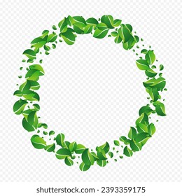 Lime Leaves Tea Vector Transparent Background. Realistic Greens Poster. Swamp Leaf Nature Backdrop. Foliage Falling Plant.