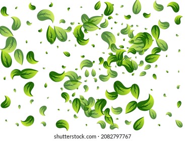 Lime Leaves Tea Vector White Background Illustration. Herbal Leaf Brochure. Grassy Foliage Swirl Template. Greens Wind Wallpaper.
