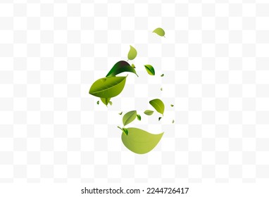 Lime Leaves Tea White Transparent Vector Background Banner. Swirl Leaf Design. Mint Greens Herbal Plant. Foliage Tree Border.