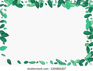 Lime Leaves Transparent Vector Transparent Background Brochure. Forest Foliage Banner. Grassy Leaf Herbal Poster. Greens Swirl Template.