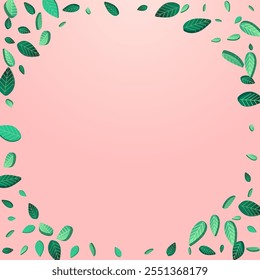 Lime Leaves Transparent Vector Pink Background Border. Spring Foliage Template. Forest Leaf Motion Plant. Greens Forest Wallpaper.