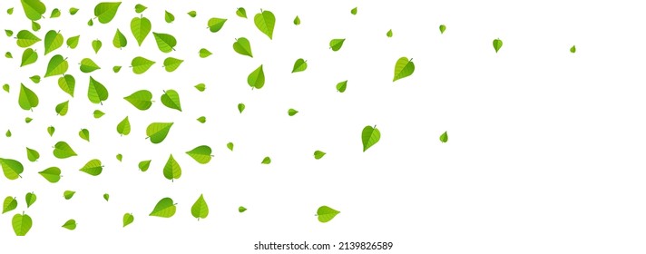 Lime Leaves Tree Vector Panoramic White Background Plant. Tea Greens Brochure. Olive Foliage Motion Backdrop. Leaf Abstract Border.