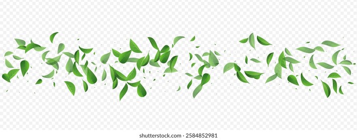 Lime Leaves Tree Vector Panoramic Transparent Background Design. Abstract Leaf Border. Green Foliage Organic Poster. Greens Fresh Branch.