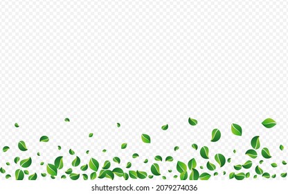 Lime Leaves Tree Vector Transparent Background. Blur Greens Poster. Green Foliage Flying Branch. Leaf Motion Pattern.