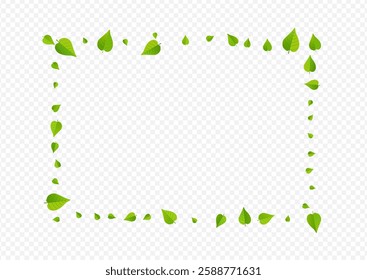 Lime Leaves Tree Vector Transparent Background Pattern. Flying Foliage Border. Green Greens Realistic Concept. Leaf Fly Template.