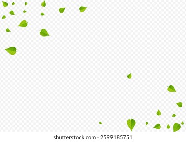 Lime Leaves Tree Vector Transparent Background Wallpaper. Organic Foliage Concept. Green Greens Transparent Backdrop. Leaf Fresh Pattern.