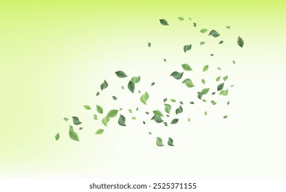 Lime Leaves Wind Vector Green Background Poster. Forest Greenery Template. Grassy Leaf Realistic Border. Foliage Falling Brochure.