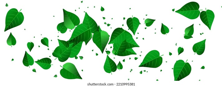 Lime Leaves Wind Vector Panoramic White Background Wallpaper. Herbal Leaf Backdrop. Olive Greens Organic Border. Foliage Tree Template.