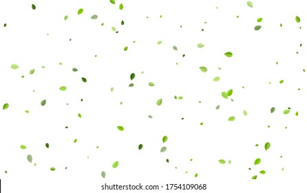 Lime Leaves Wind Vector Poster. Organic Leaf Design. Forest Foliage Transparent Illustration. Greens Flying Backdrop.