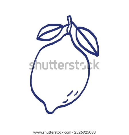 Lime or lemon. Citrus fruit. Hand drawn sketch. Blue pen or marker drawing. Primitive kids picture. Vector illustration