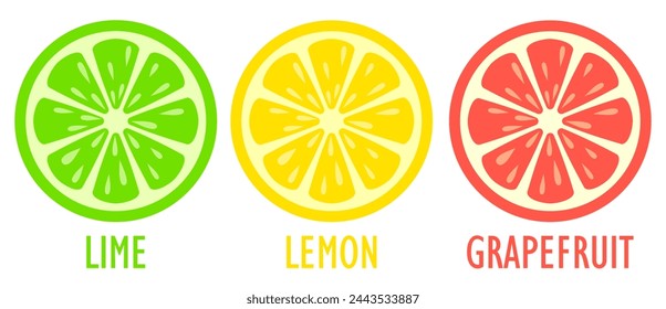 Lime lemon and grapefruit slice vector icons set isolated on white background. Flat illustration of citrus fruits cross section, summer colorful design elements