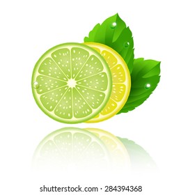 lime lemon and mint on white background - vector illustration
