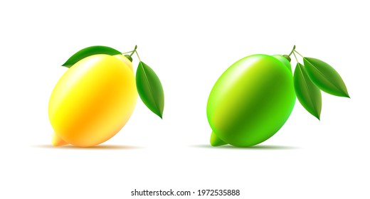 Lime and lemon vector 3d illustration with leaves, whole sour fruit, isolated modern