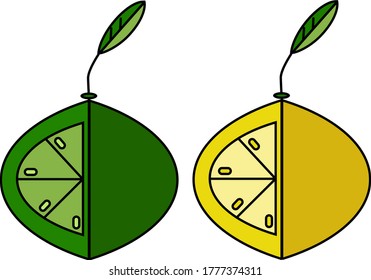 Lime and lemon in vector in flat style. Green and yellow citrus.