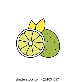Lime сolor line icon. Essential oils fruit seeds. Pictogram for web page, mobile app, promo. UI UX GUI design element. Editable stroke.