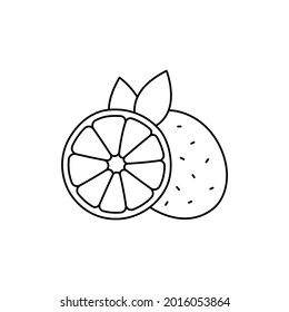 Lime сolor line icon. Essential oils fruit seeds. Pictogram for web page, mobile app, promo. UI UX GUI design element. Editable stroke.