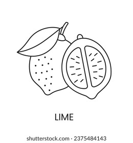 Limettensymbol in Vektorgrafik, Zitrusfrüchtegrafik