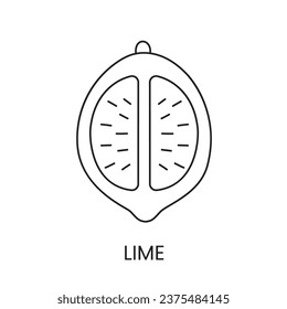 Lime line icon in vector, citrus fruit illustration