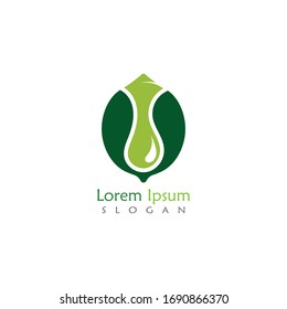 Lime logo design, Isolated lime creative template vector