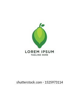 Lime Logo Icon Design Template Vector Illustration