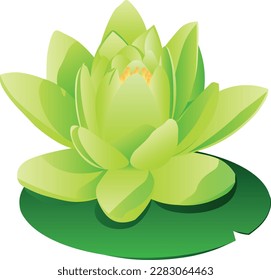 The lime lotus with shadows in vector