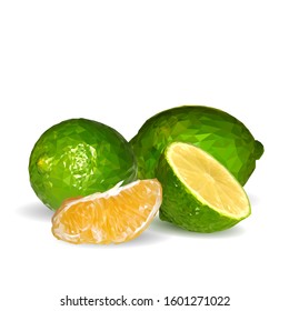 Lime low poly. Fresh, nutritious and tasty lime. Symbols of fruits. Elements for label design. Vector illustration. Fruits ingredients in triangulation technique. 