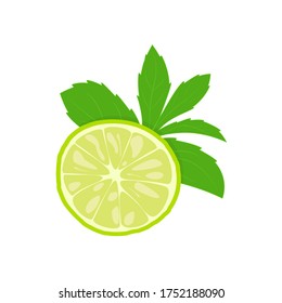 lime and mint flat set. concept of a sweet colorful food, fruit, cool drinks, lemonade or mojito, decoration for packaging, paper, sticker, label for kitchen and cooking. simple juicy signs on white