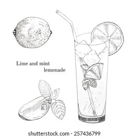 Lime and mint lemonade ink sketch set. Isolated design elements