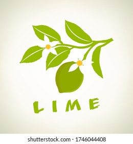 Limette auf einem Ast-Logo-Vektor