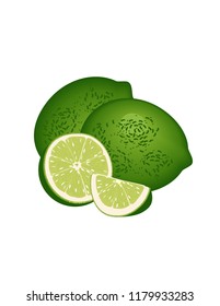 Lime on white background