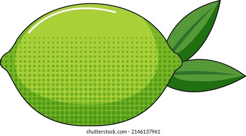 Lime on white background illustration