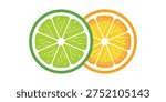 Lime and Orange Citrus Slice Illustration.