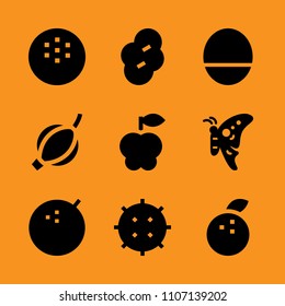 lime, outside, fresh and nutritious icon set. Vector illustration for web and design.