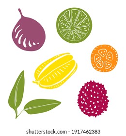 Lime, passion fruit, star fruit, kumquat, lychee. Colorful sketch collection of tropical fruits isolated on white background. Doodle hand drawn fruit icons. Vector illustration