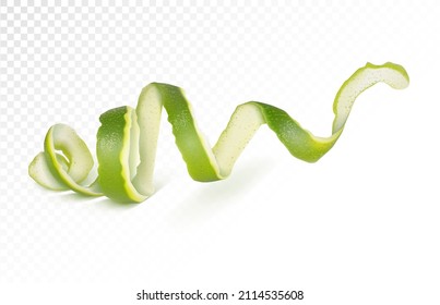 Lime peel loop. Vector illustration.