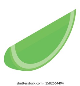 Lime piece icon. Isometric of lime piece vector icon for web design isolated on white background